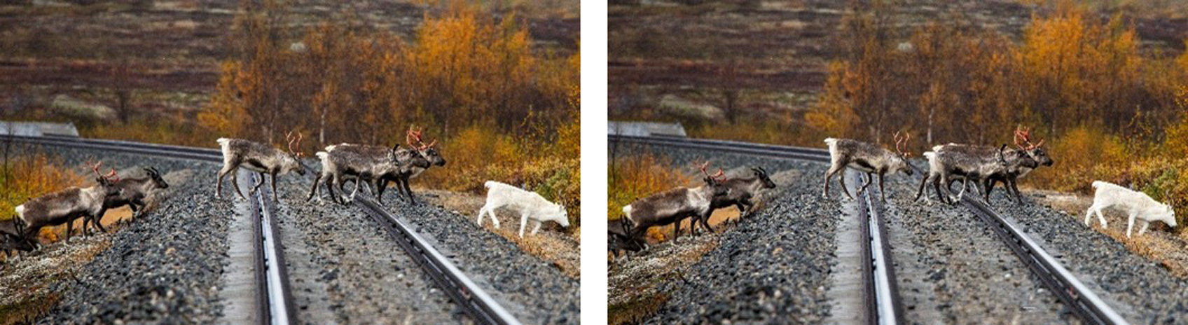 Images de base  et images modifiées pour la comparaison des pixels