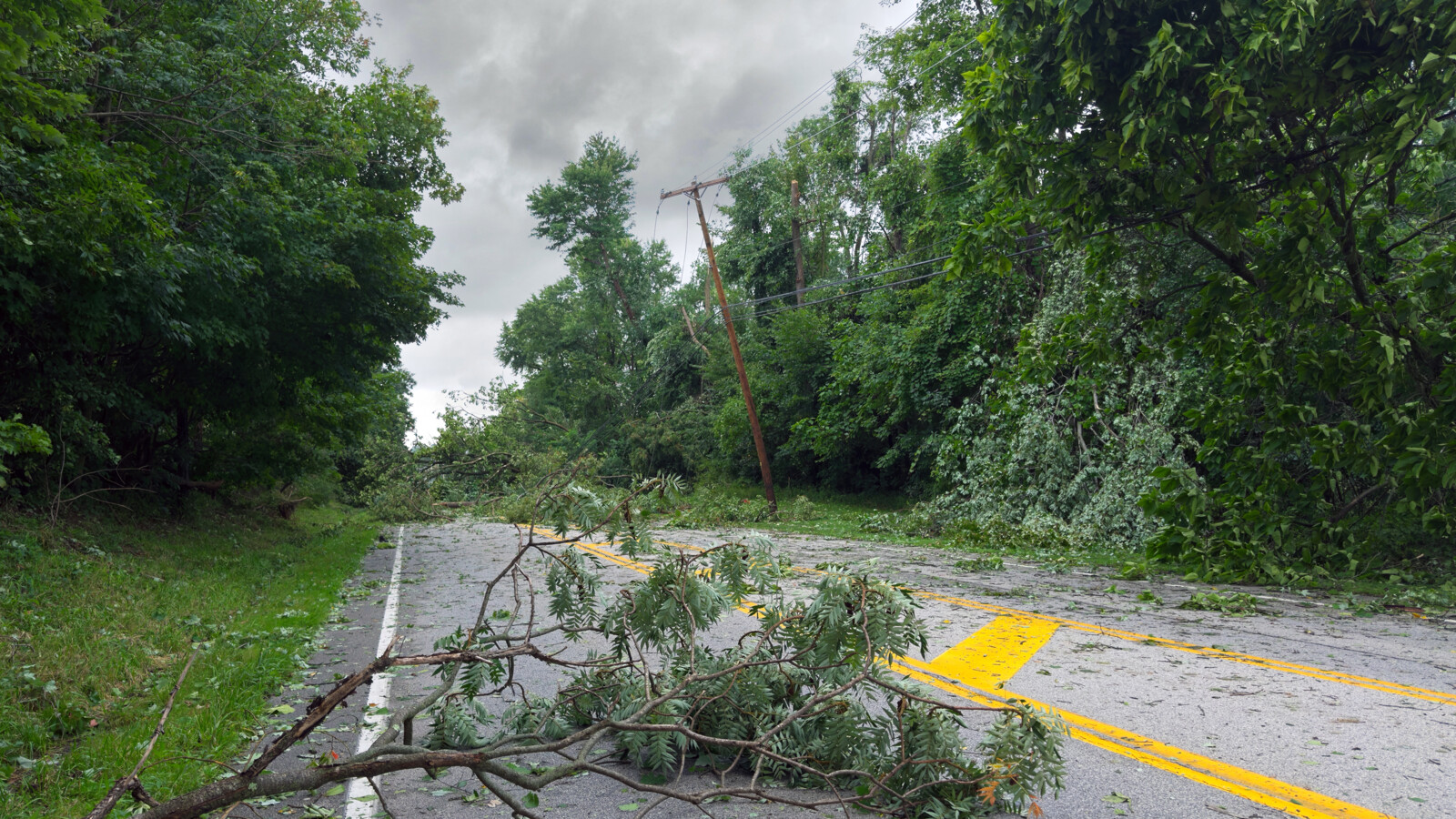 Branches block a street after a heavy storm
