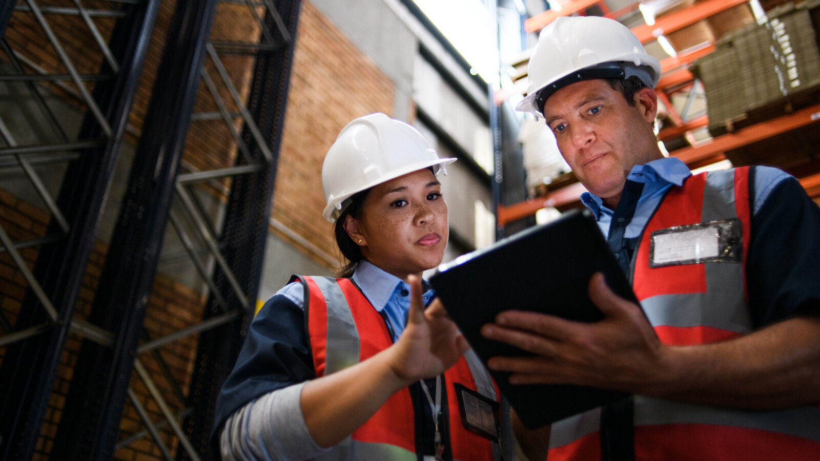 Woman discussing on shipping tracking.