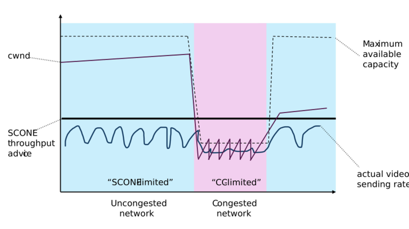 Video traffic treatment 2.0: What’s the secret recipe of SCONE