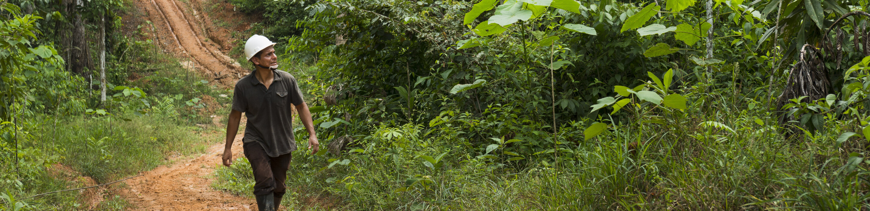 Man walking in the forest