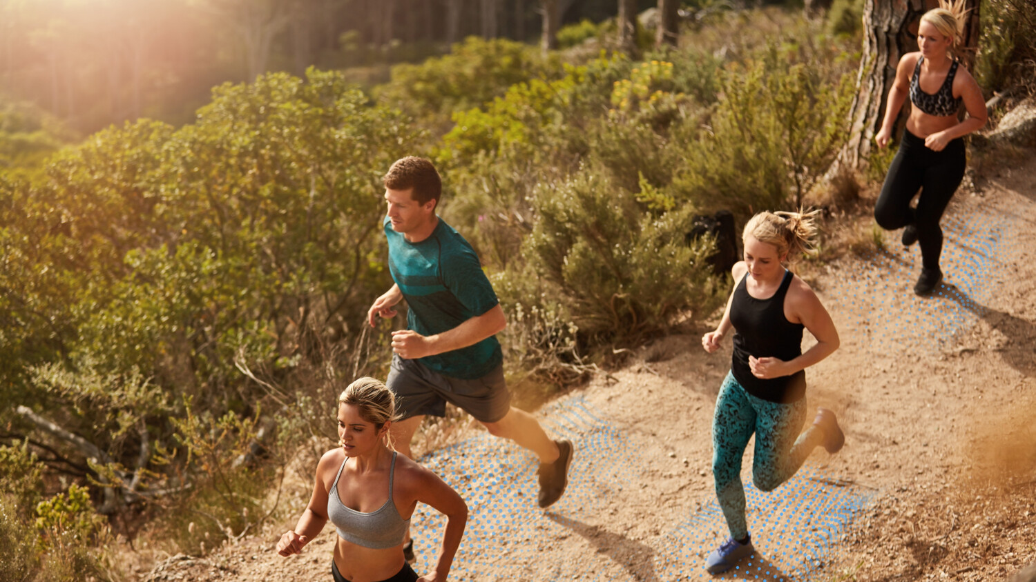 Trend 5: The Hybrid Gym