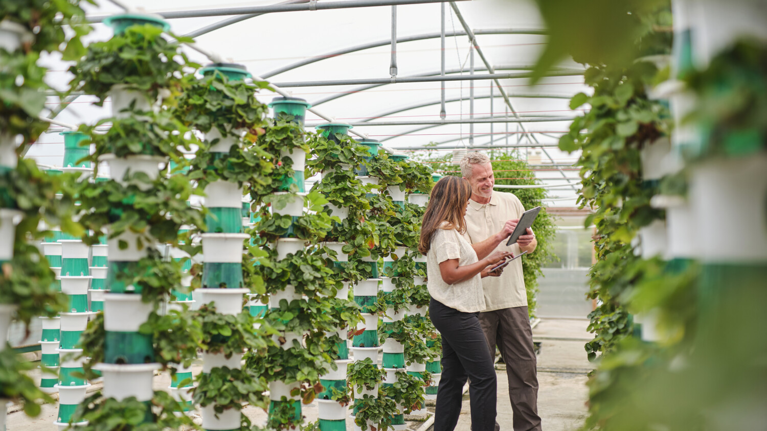 Automação de veículos autônomos