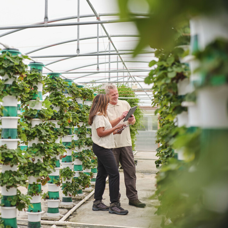 Digital revolution för konkurrenskraft och grön industri