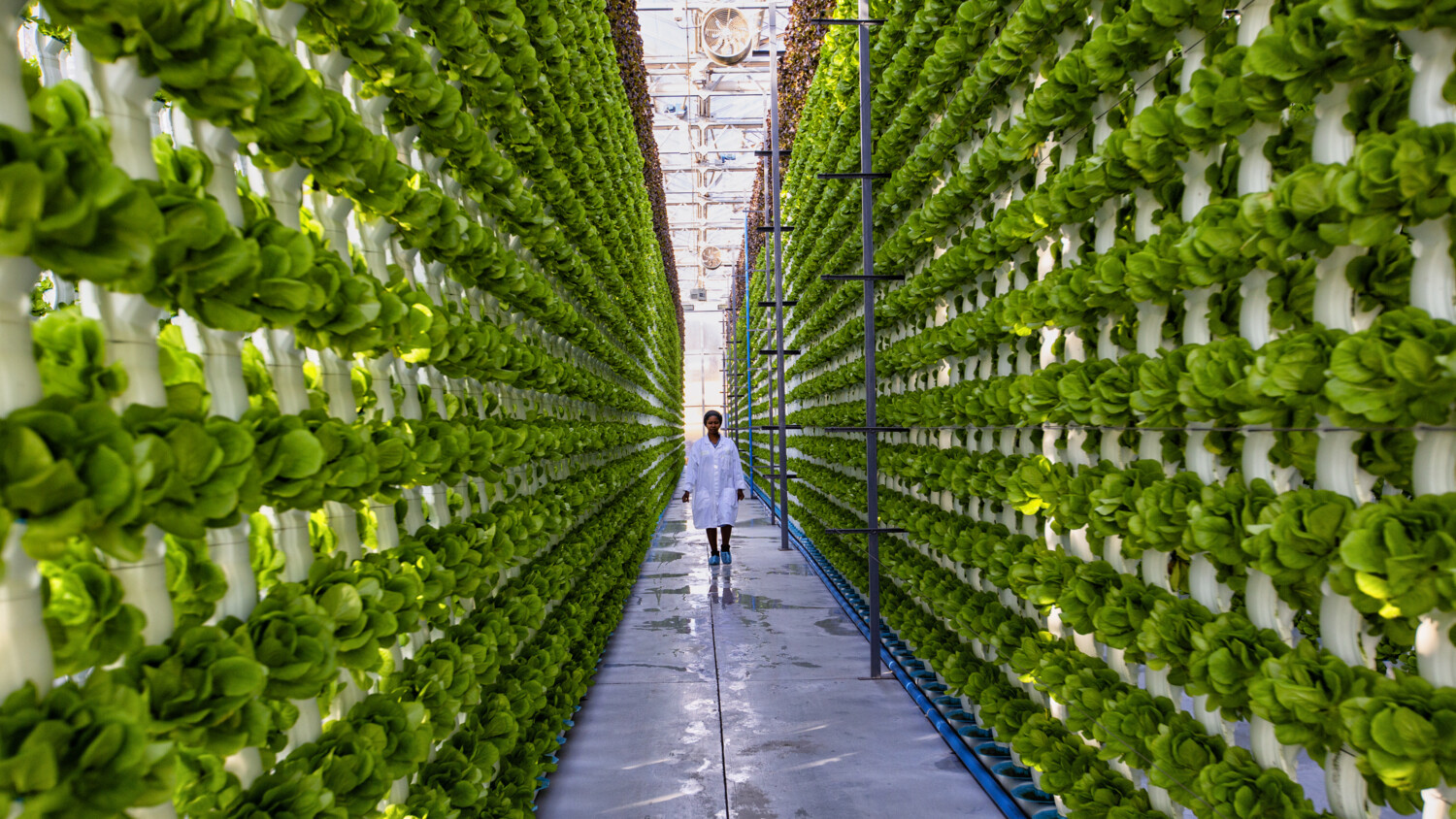 5G Indoor network solutions for sustainability