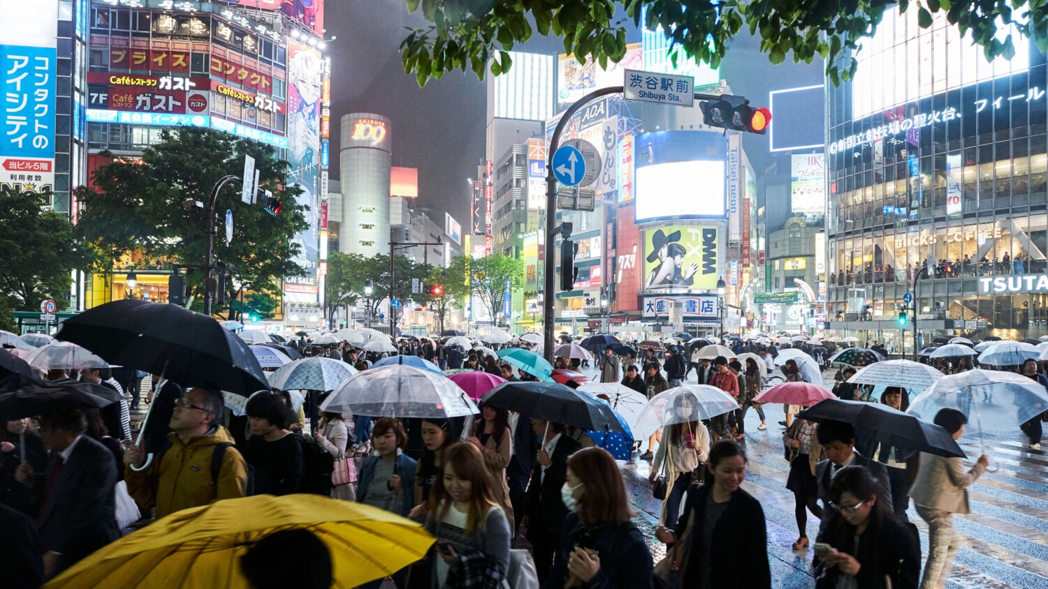 Crowd with umbrellas on a busy street in Tokyo